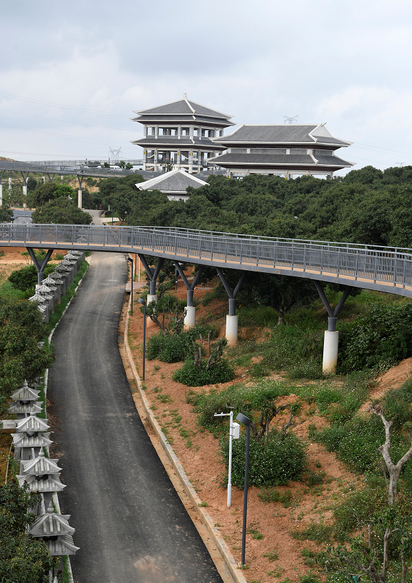 在中國荔枝博物館,棧道橋,國家荔枝種質資源圃等場地,莊悅群對場館