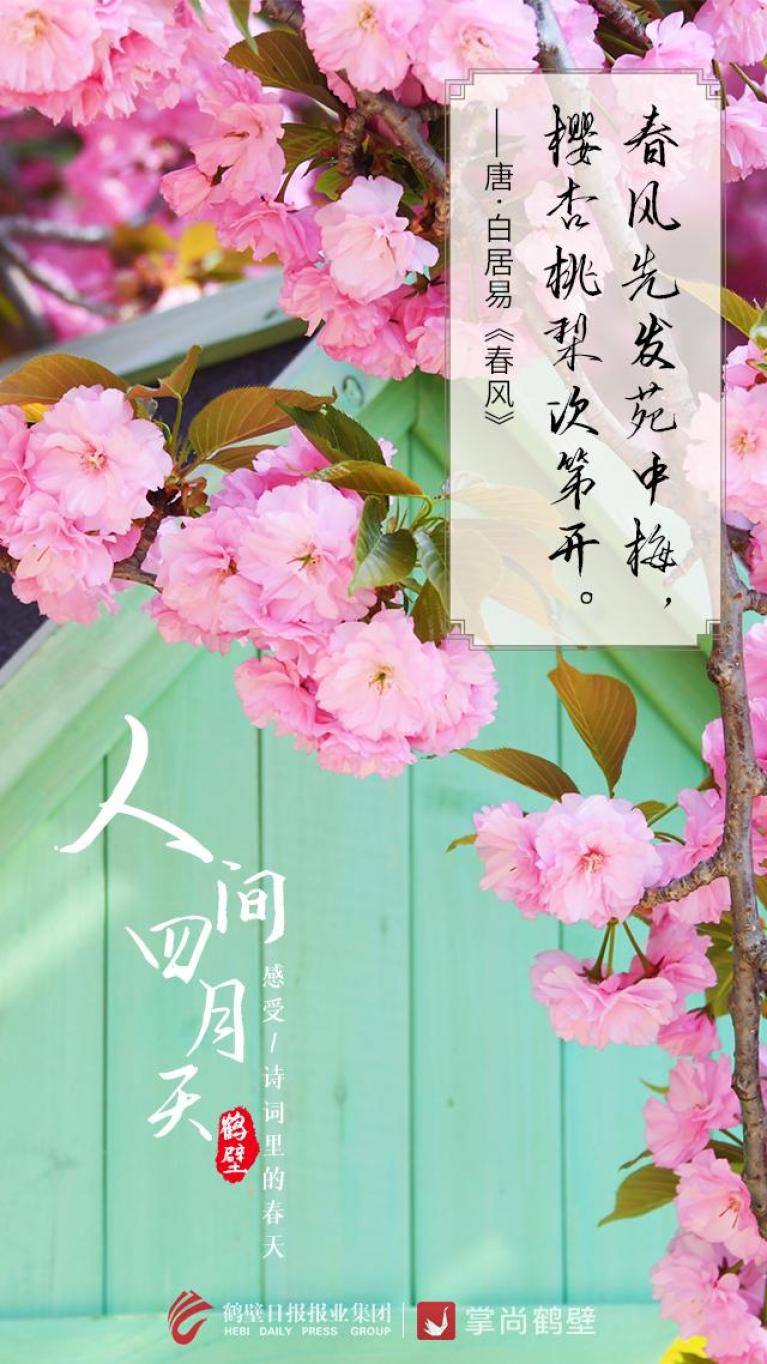 最美人间四月天让我们一起在诗词中四月是诗意盎然的日子而夏日的脚步