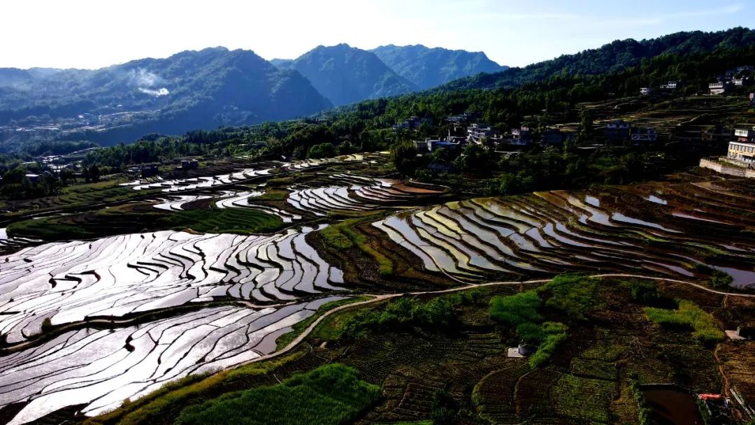 鹽津縣落雁鄉共和村鹽津縣興隆鄉鳳凰村大關縣壽山鄉柑子村這些鄉村