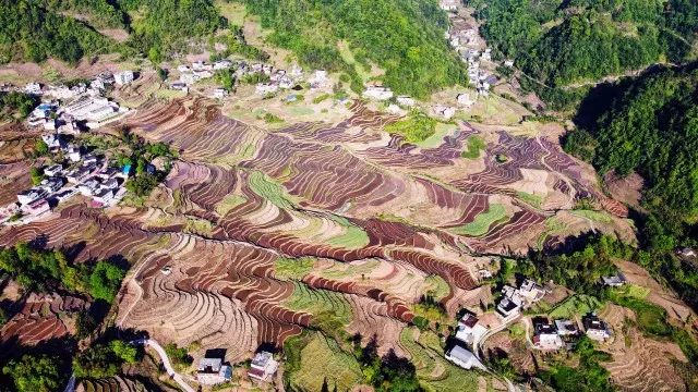 盐津县落雁乡共和村盐津县兴隆乡凤凰村大关县寿山乡柑子村这些乡村