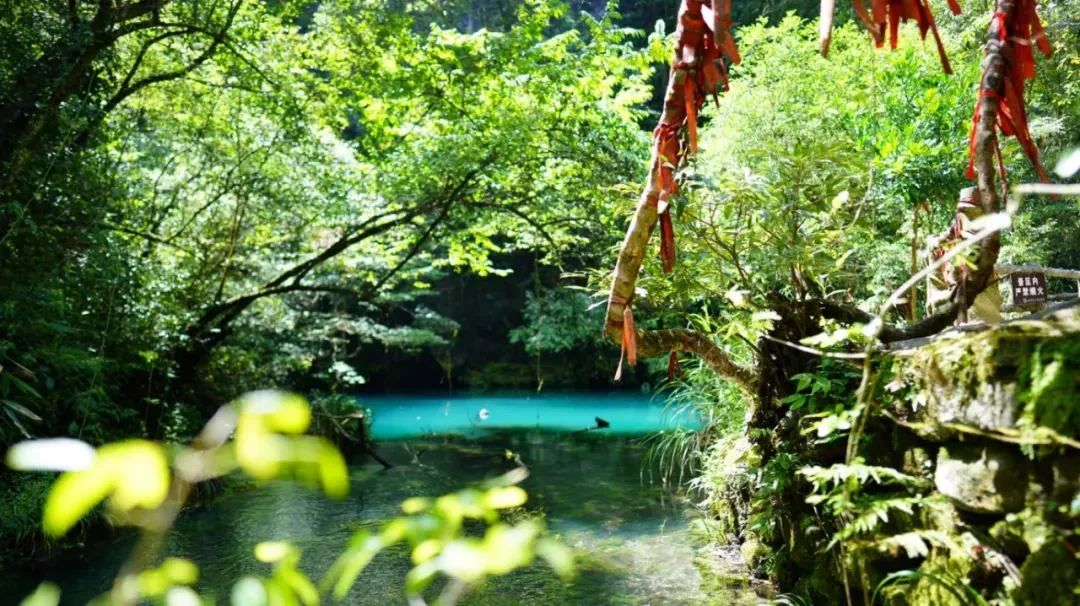 乡游黔中镇远县四里桥社区丨隐居河畔将满眼绿意打包给你