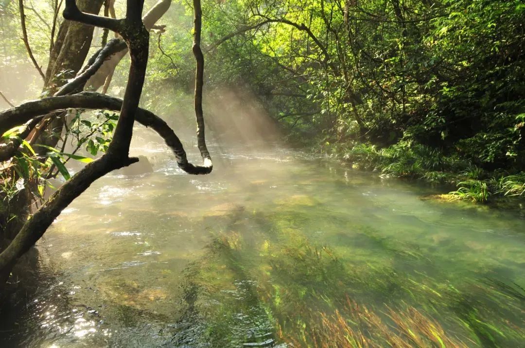 乡游黔中镇远县四里桥社区丨隐居河畔将满眼绿意打包给你