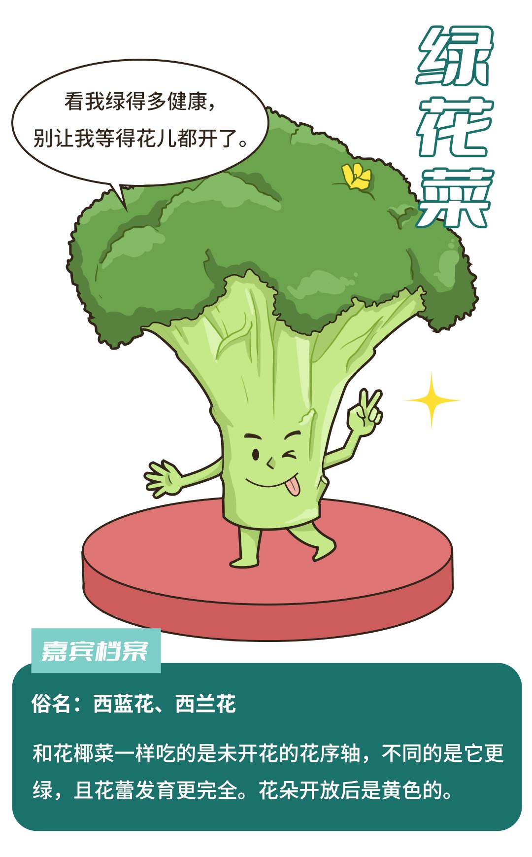 青菜油菜小白菜你囤的到底是什么菜