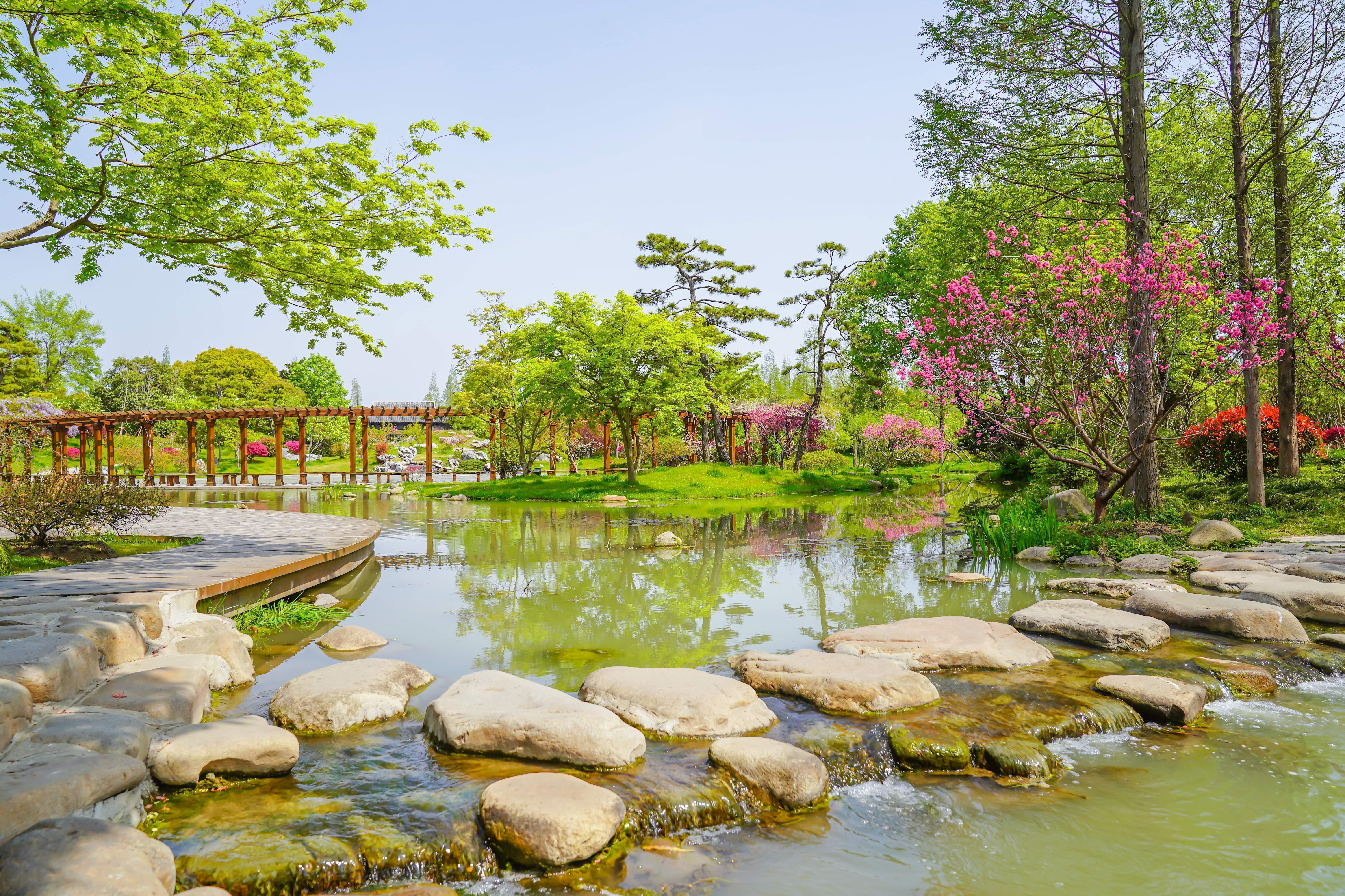 瘦西湖万花园十景春色正撩人