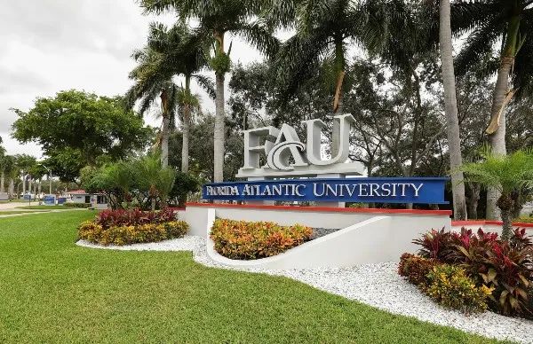 source:florida atlantic universitywhen it comes to preventing