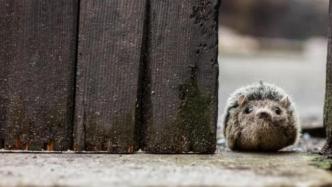 拉黑、擺爛、生悶氣，你很可能是在隱形攻擊