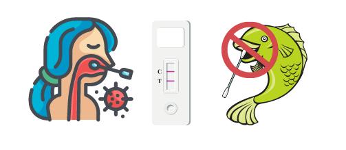 家里买回来的鱼需要进行抗原检测吗