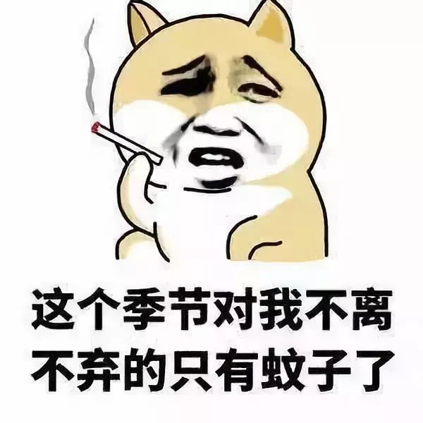 为啥蚊子总咬我啊