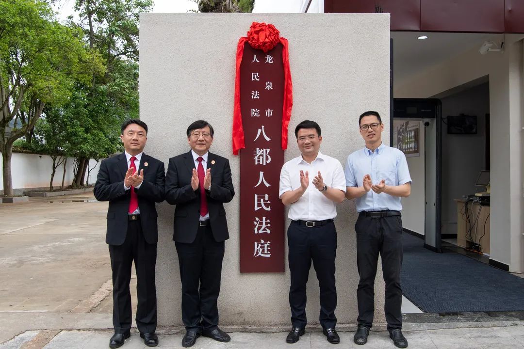 龙泉法院八都人民法庭揭牌成立