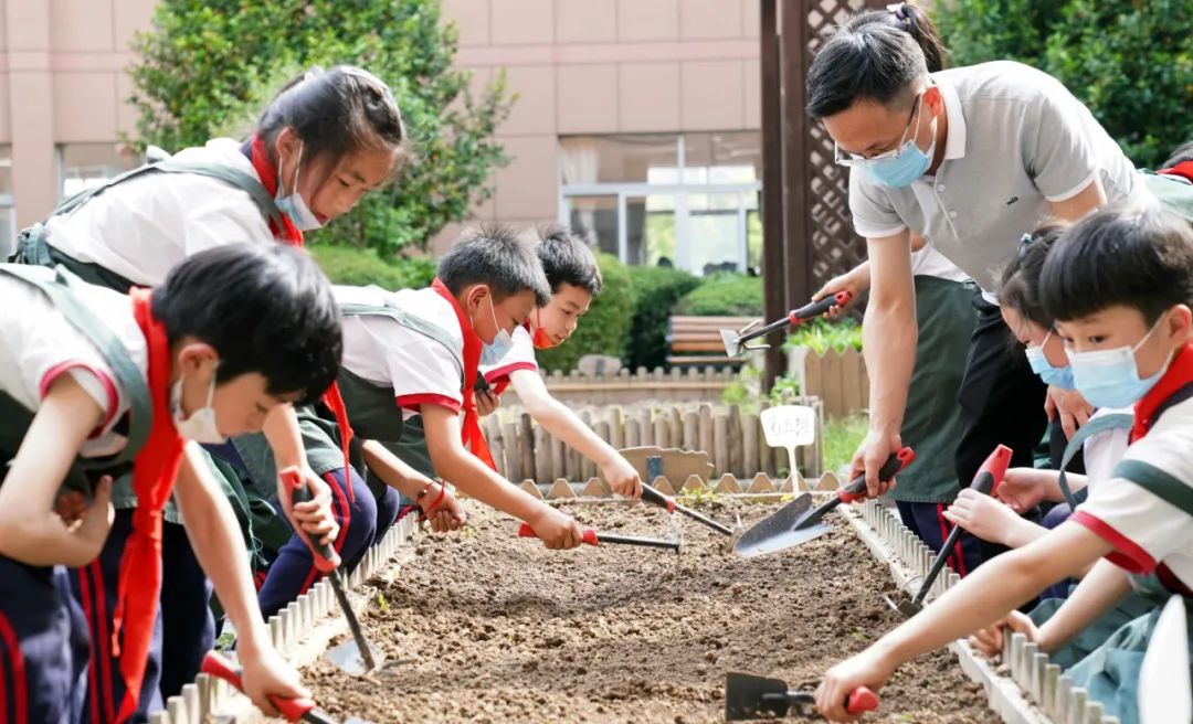 鄉村復興少年宮課堂搬進一米農場學生變身快樂農夫