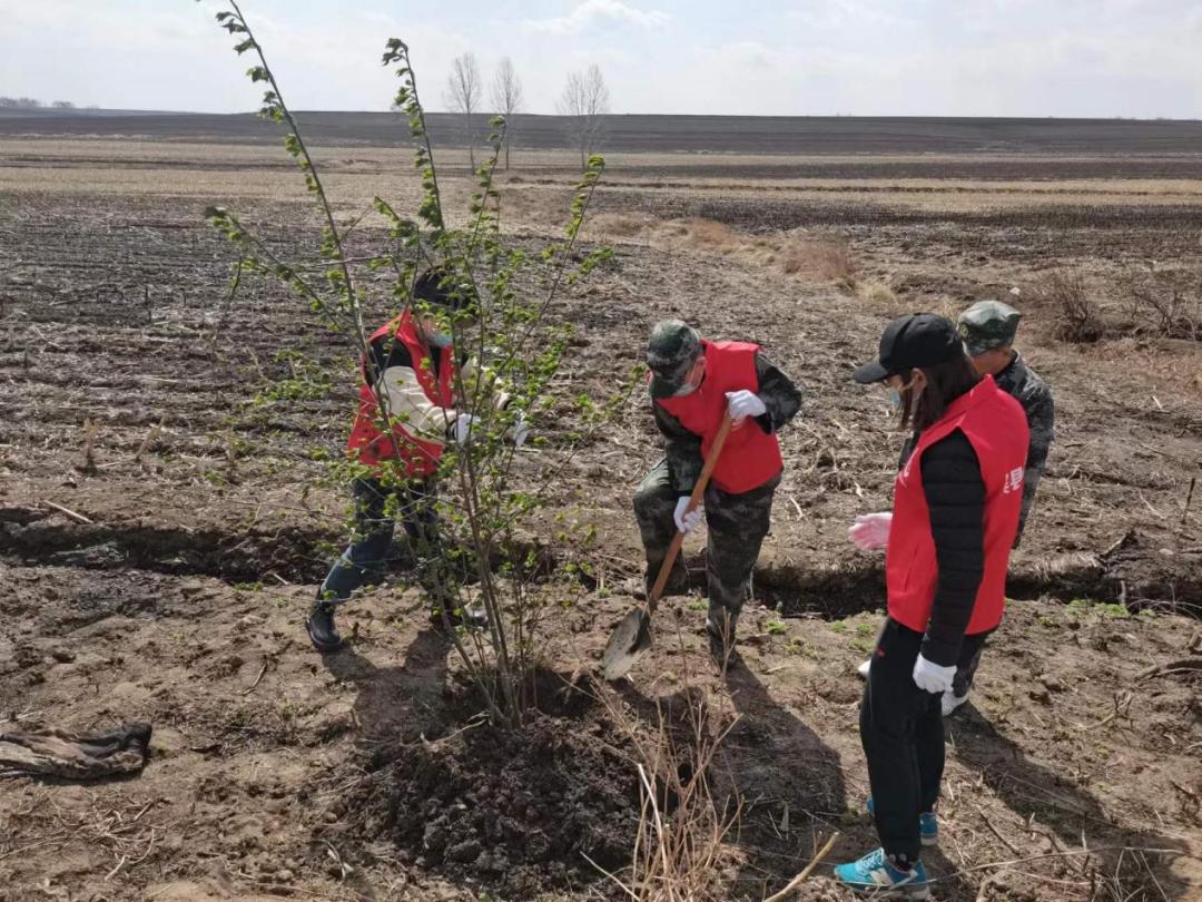 增颜值提气质经建乡开展植树造林志愿服务活动