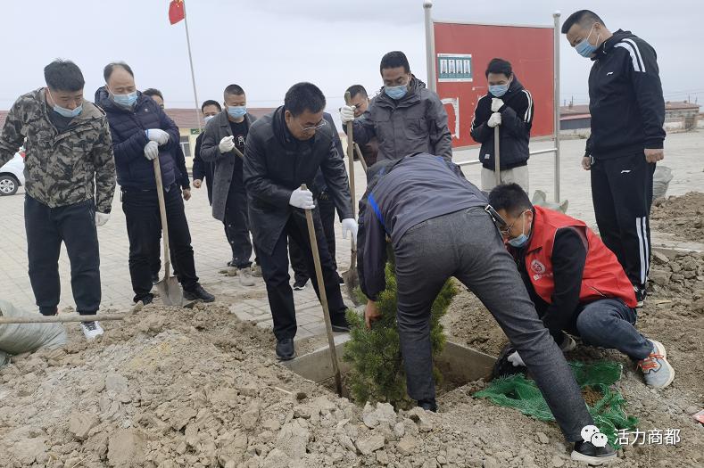 动态商都县人大常委会林草局十八顷镇袁家村联合开展义务植树活动