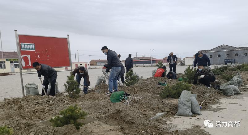 动态商都县人大常委会林草局十八顷镇袁家村联合开展义务植树活动