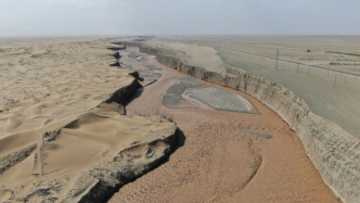 联合国防治荒漠化与干旱日主题确定：共同从干旱中崛起