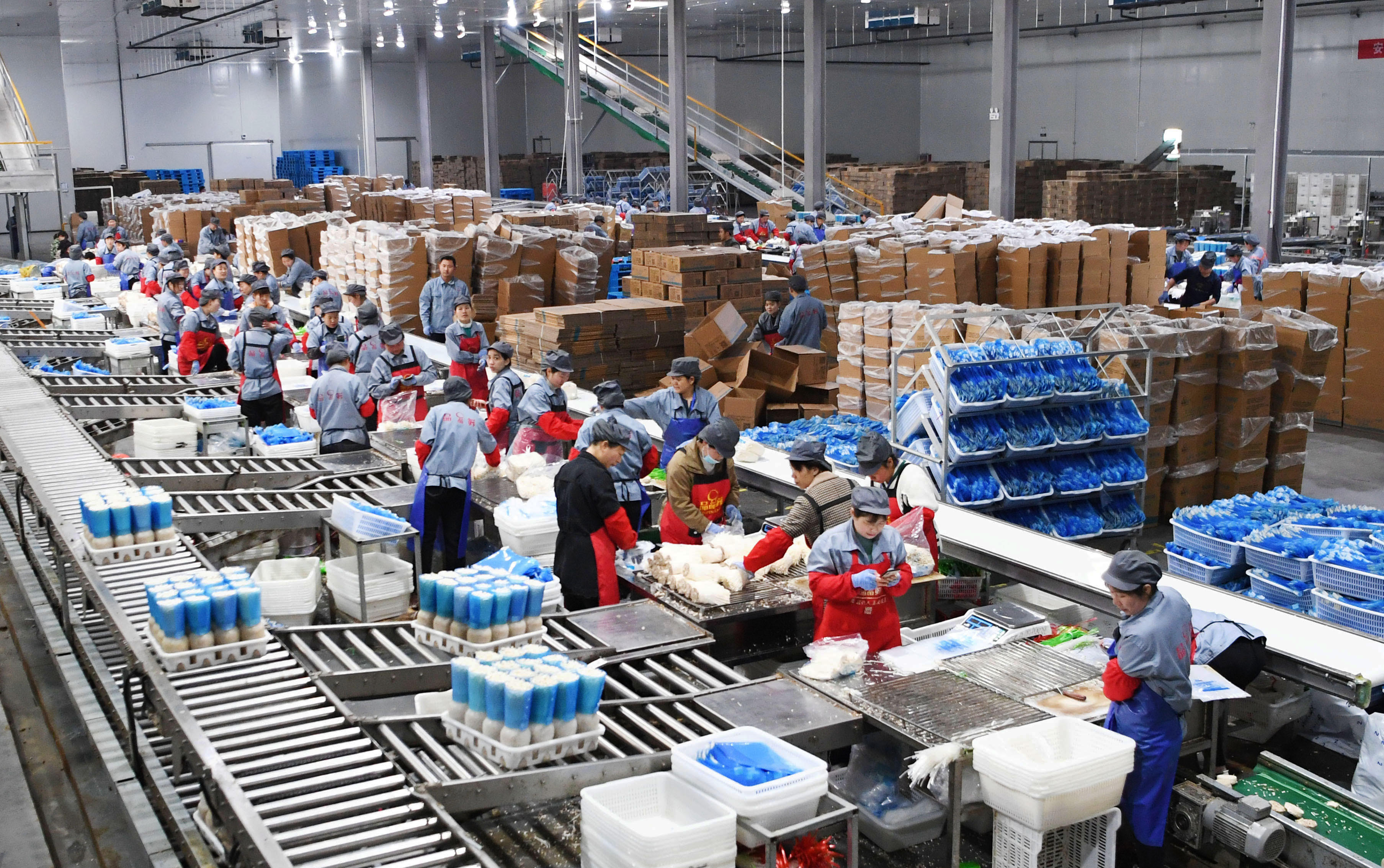 3月11日,位于驻马店市泌阳县的河南鲜菇坊生物科技有限公司包装车间