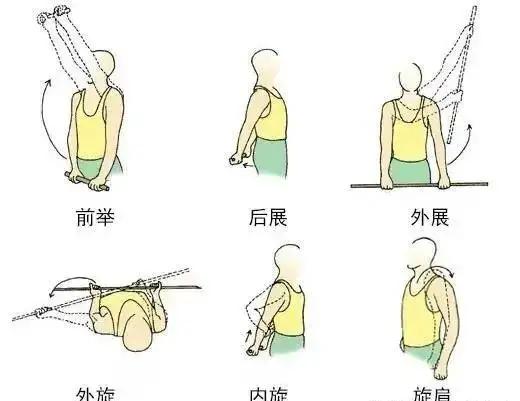 肩袖损伤锻炼图示图片