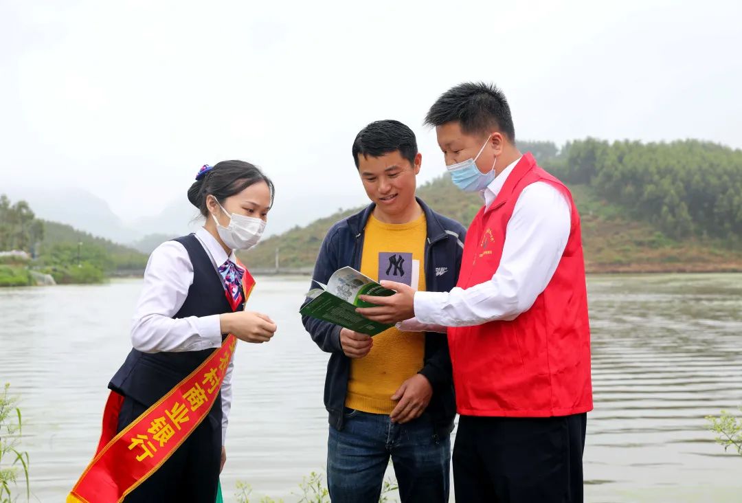 【跟着广播看乡村】融安:10分钟就办结一笔,4亿助农贷款是怎样贷出去的?