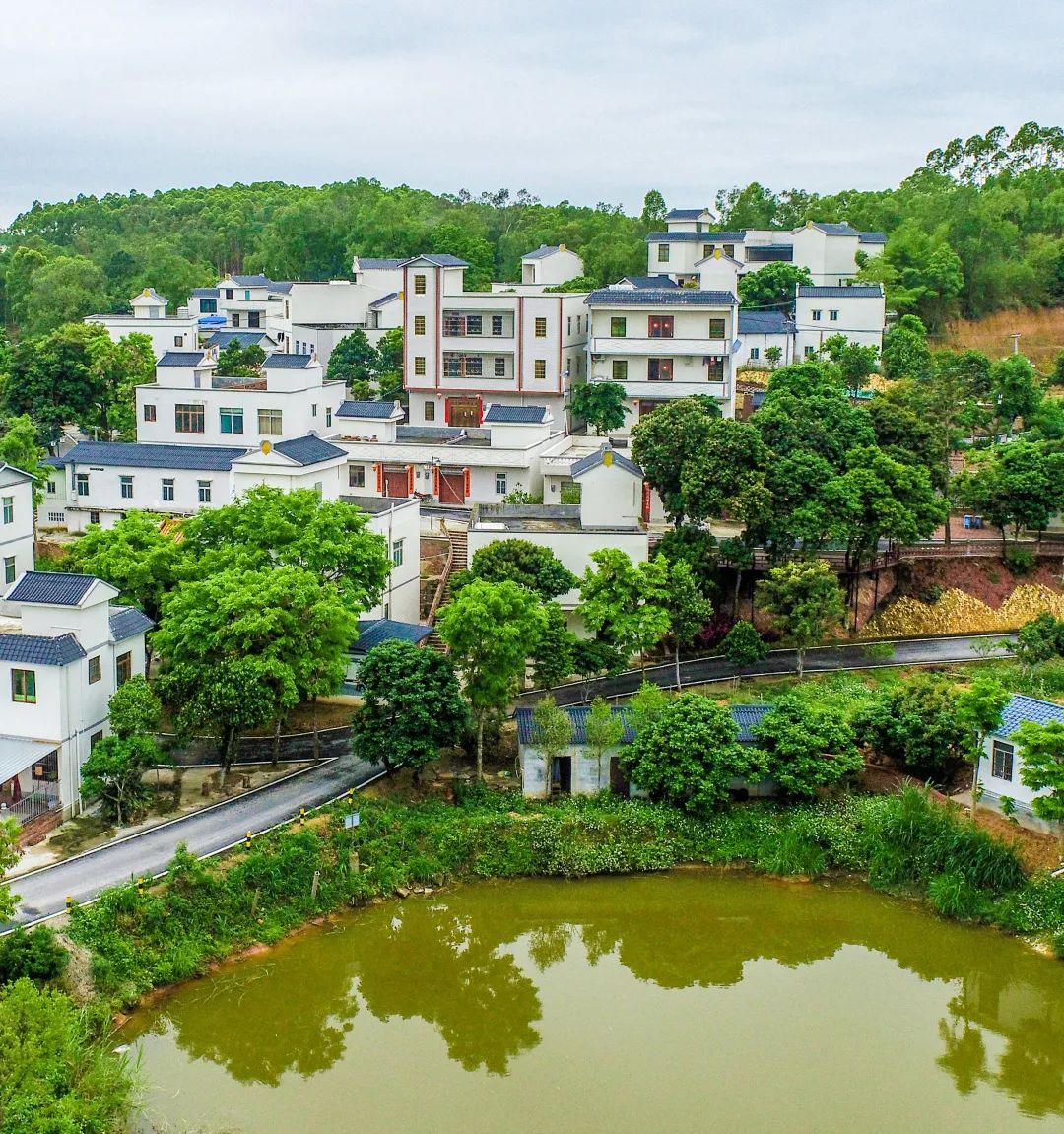 这条坐落廉江市西北部的村落,位于长山镇与青平镇,石颈镇及广西博白县