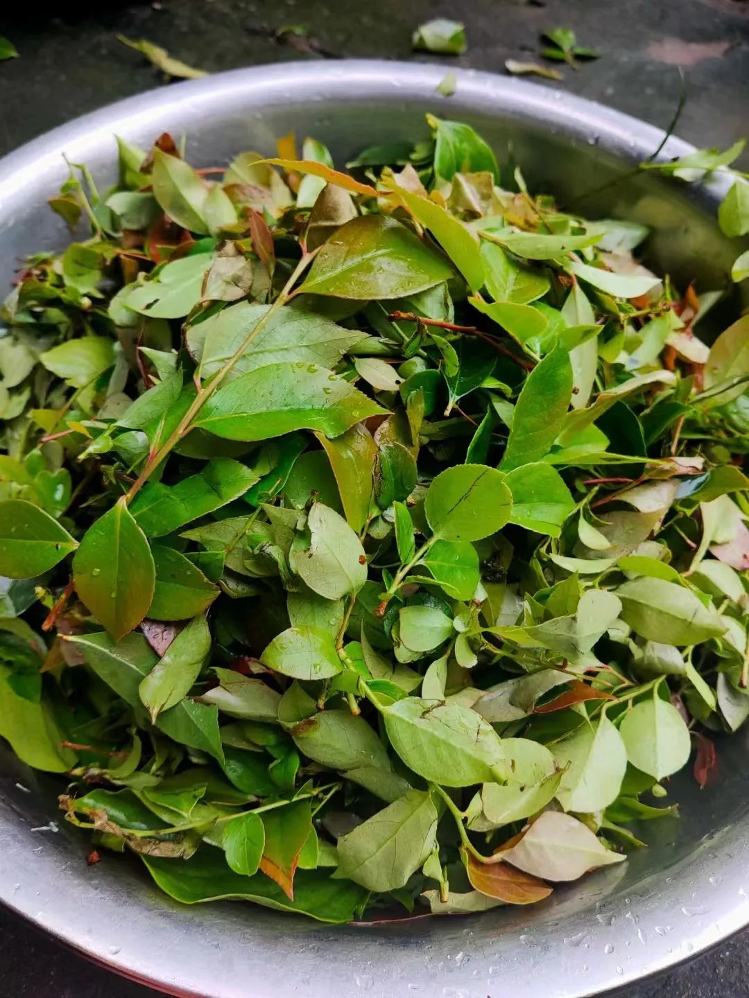 把糯米淘洗干净,放入乌米汁水,浸泡2小时以上.