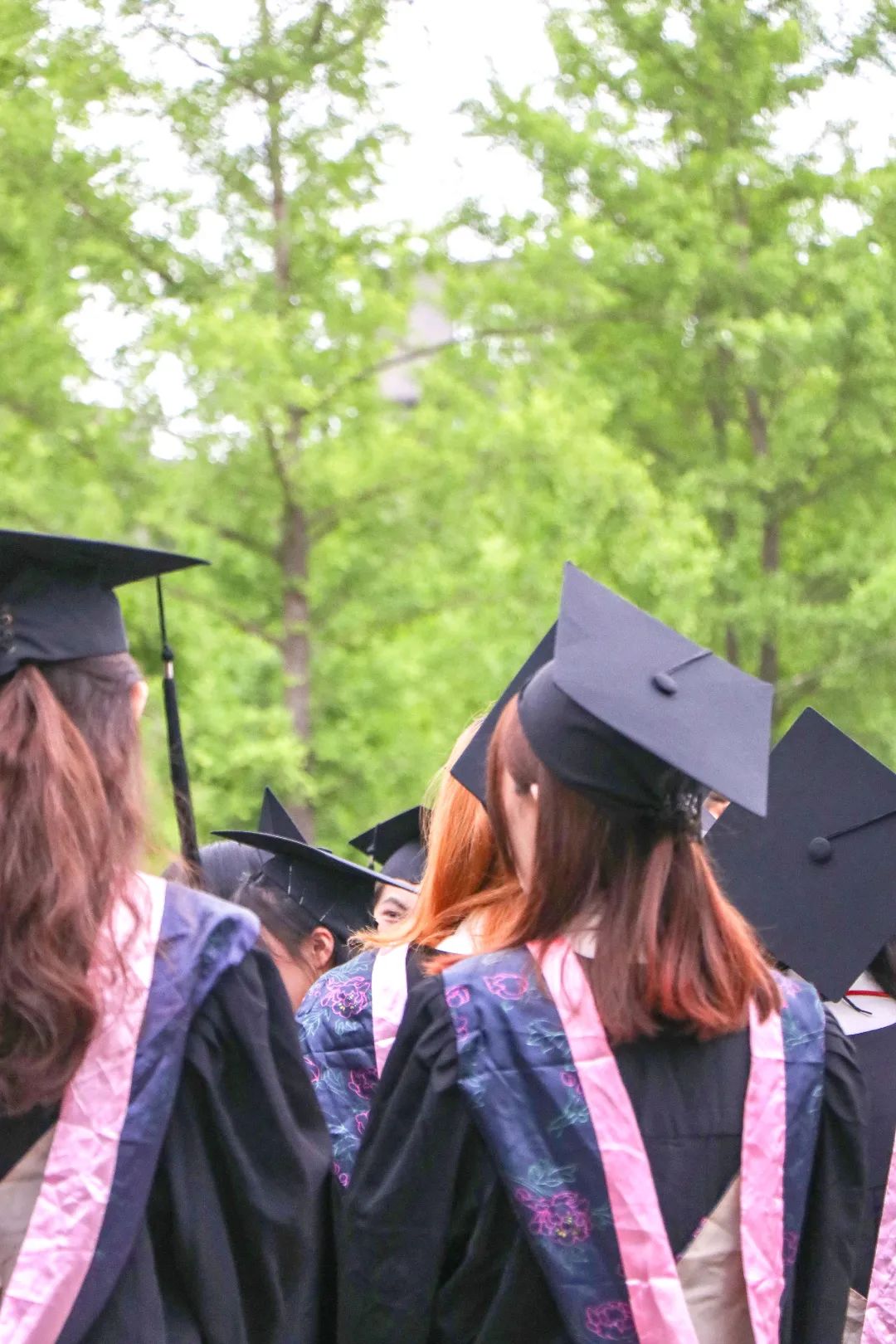 朝气蓬勃的精气神整齐划一的学士服青春永不落幕活力喷涌而出看那定格