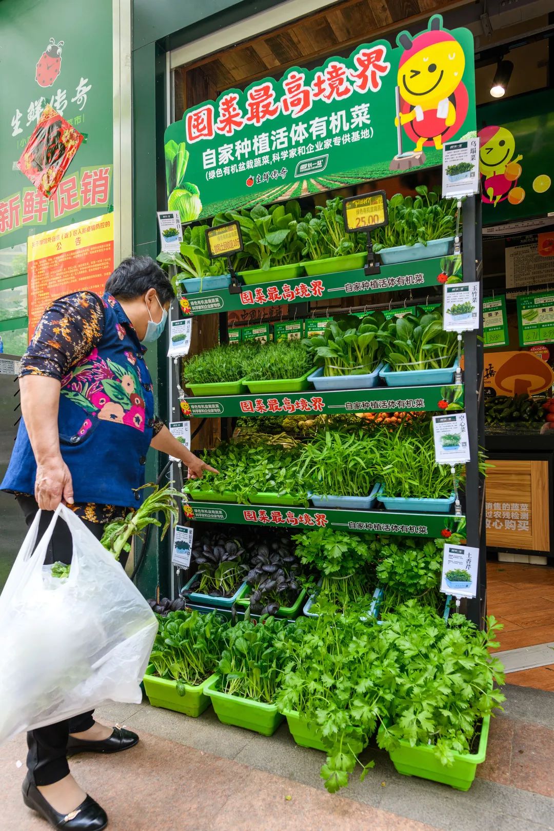 劉一盆成功入駐生鮮傳奇我區加快產銷對接促消費