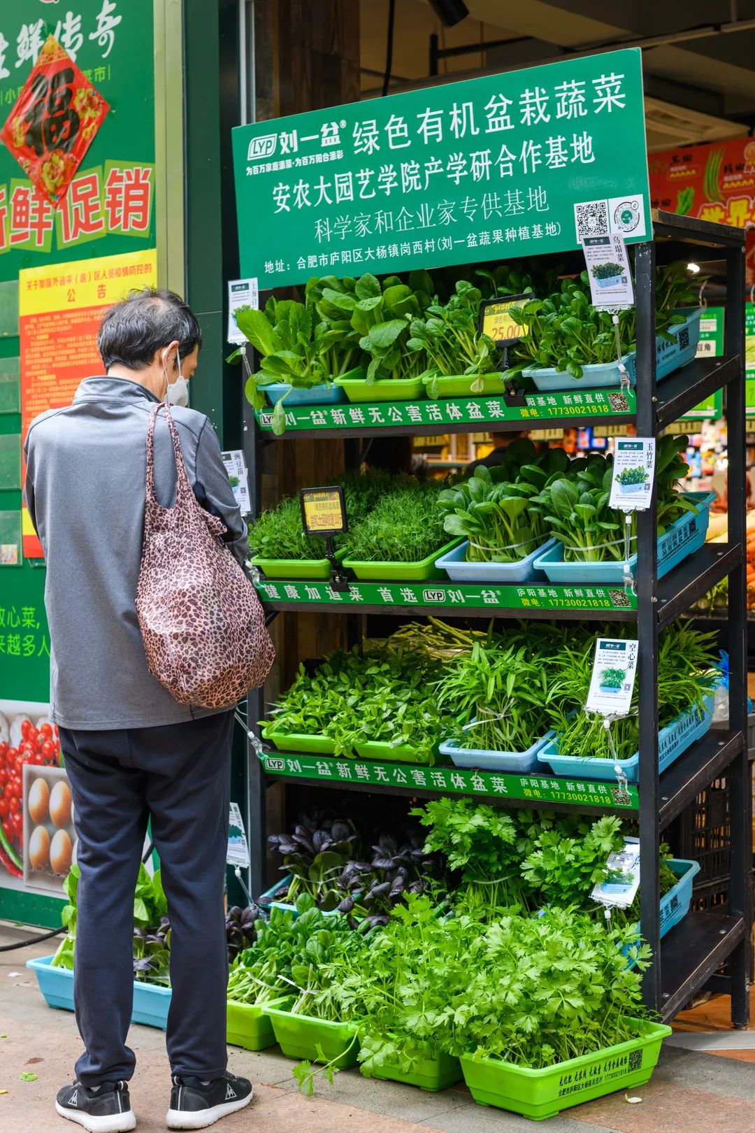 劉一盆成功入駐生鮮傳奇我區加快產銷對接促消費