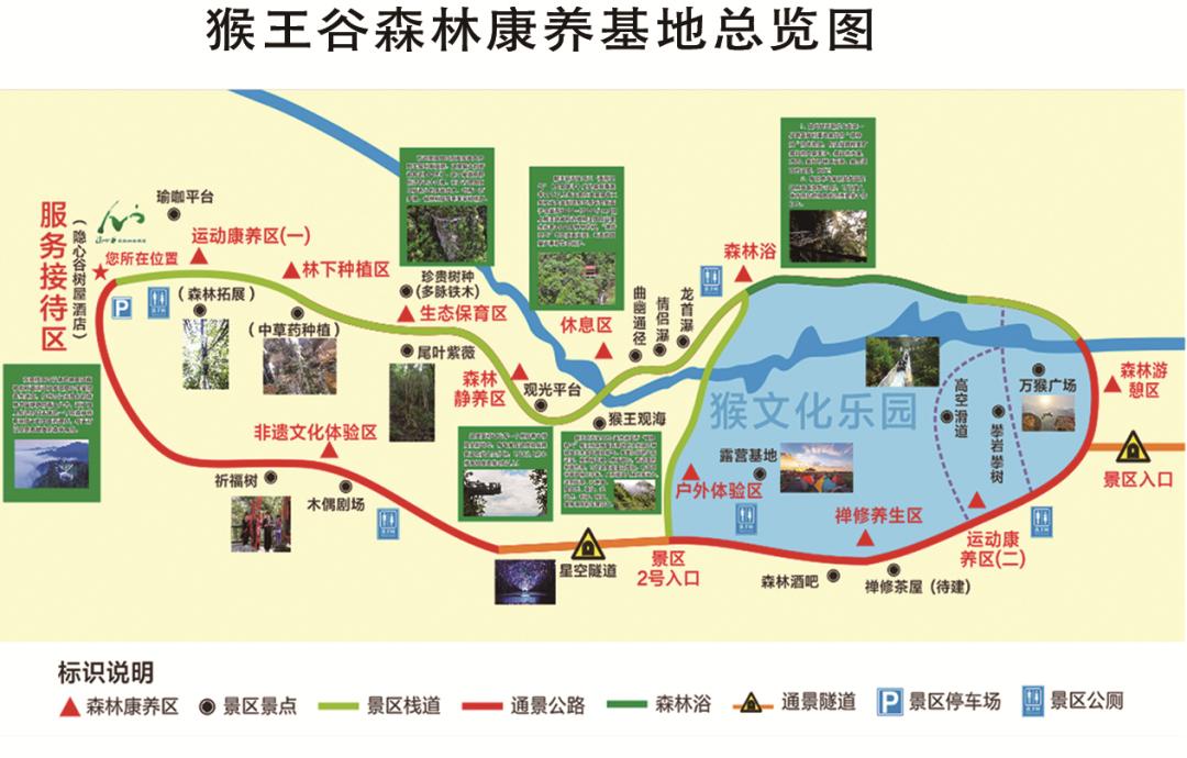 温州市民免费游实行预约制啦文成这些景点免费畅玩