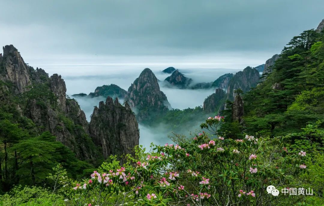 摄五一假期,黄山风景区落实落细管理服务,统筹抓好疫情防控和旅游