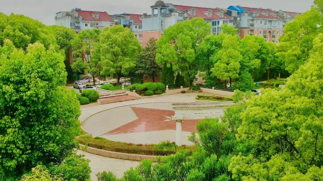 赏一波窗外的春光美图抓住春天的尾巴