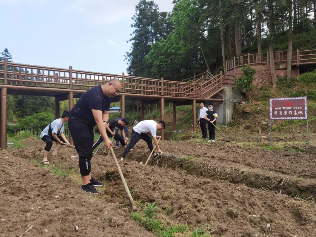 青年干部四下基层实践锻炼传承红色基因淬炼担当品格