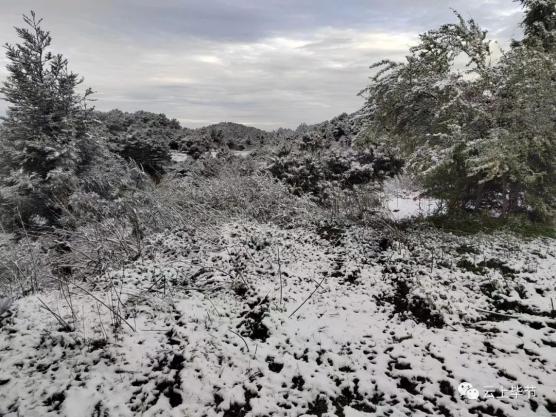 芒市苤菜坝下雪图片