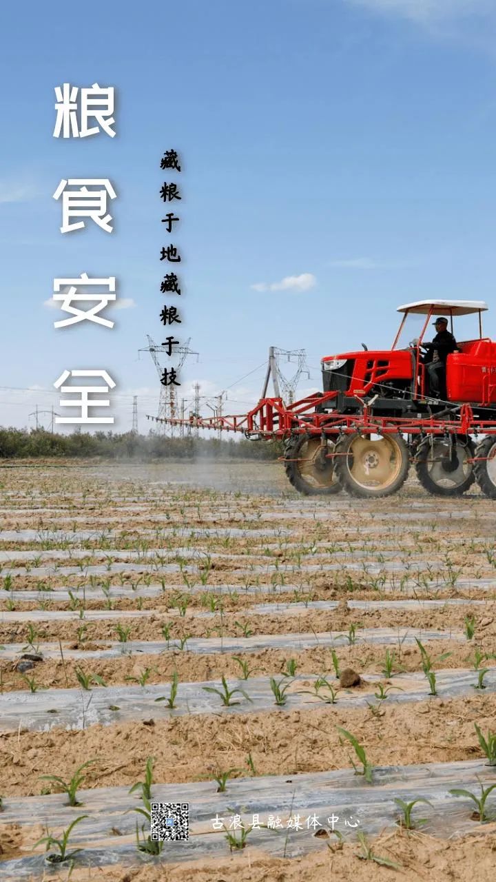 微海报粮食安全人人有责