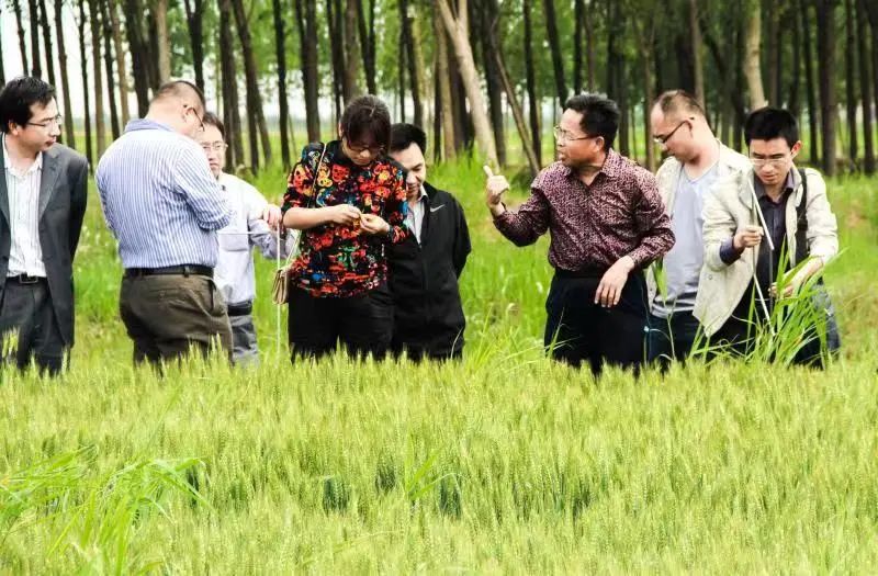 最美调查人刘汉民