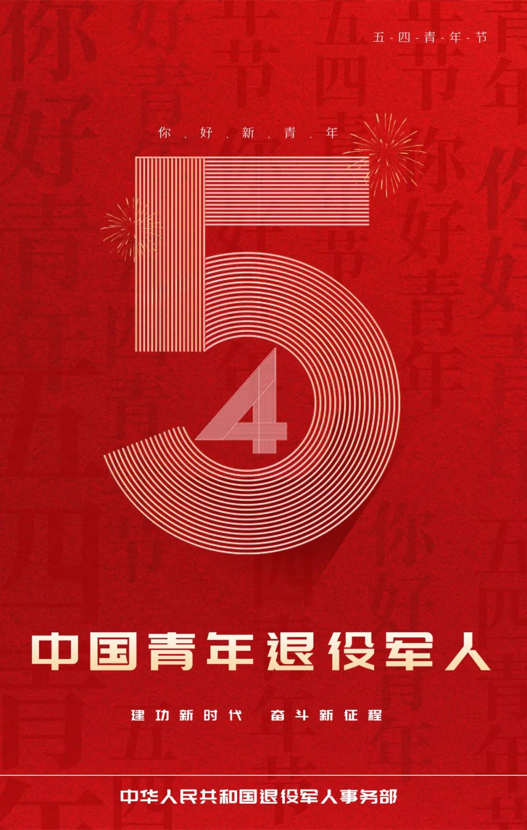 海报你好中国青年退役军人