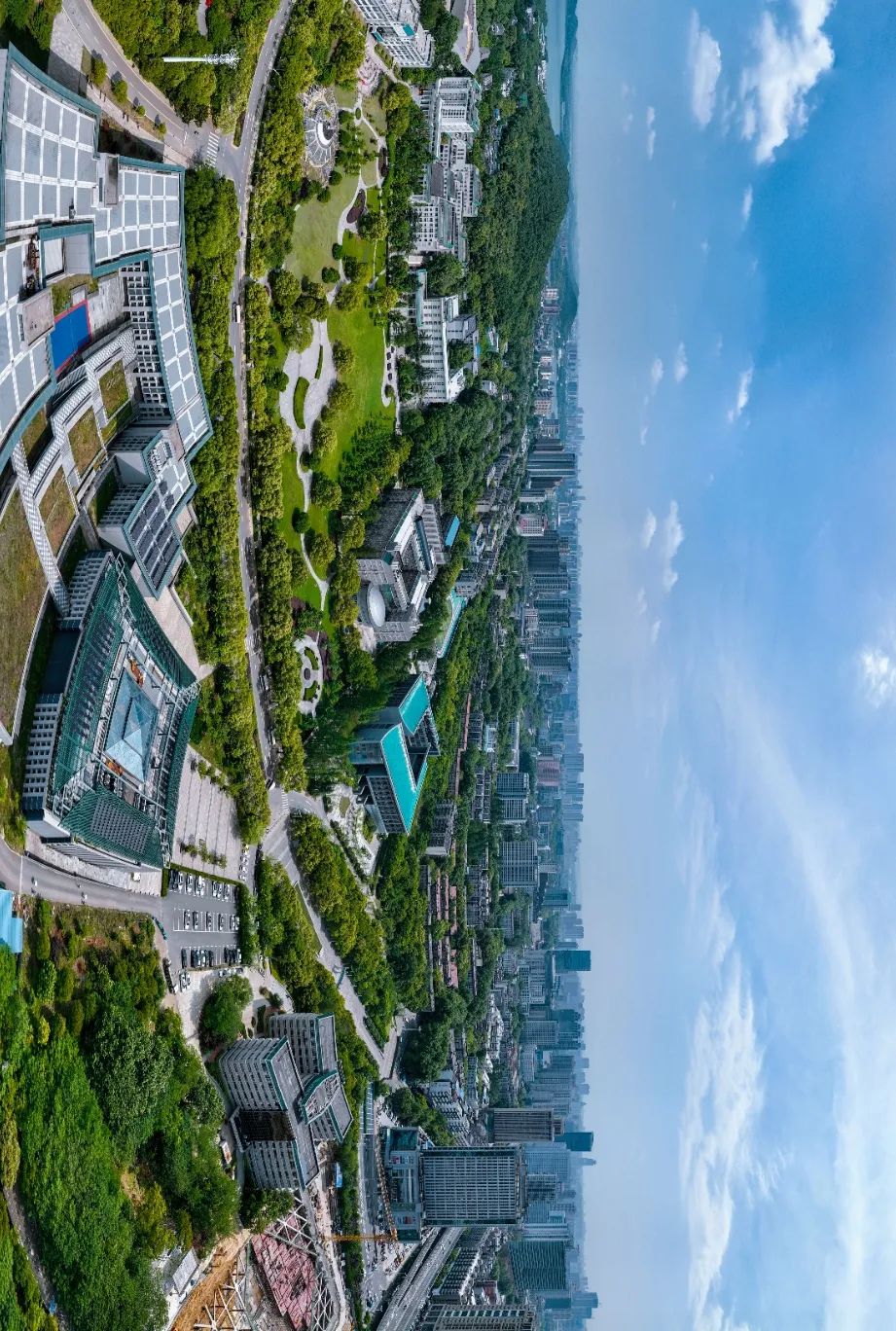 你好珞珈山的夏天