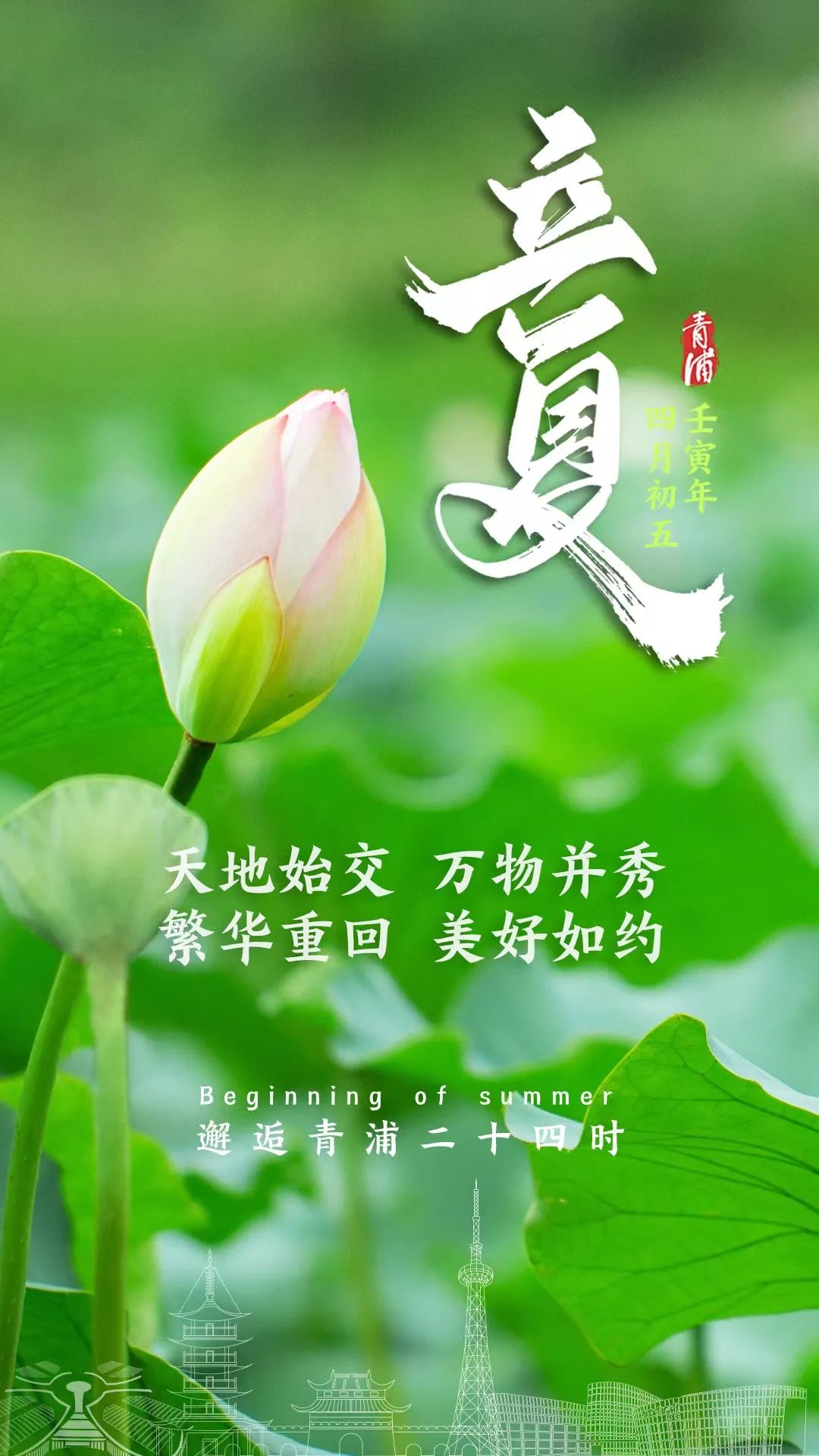 立夏丨步入夏天