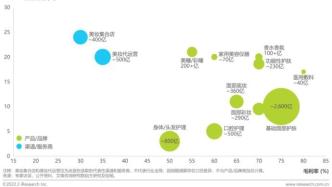 2022年中国美妆护肤品行业投资研究报告