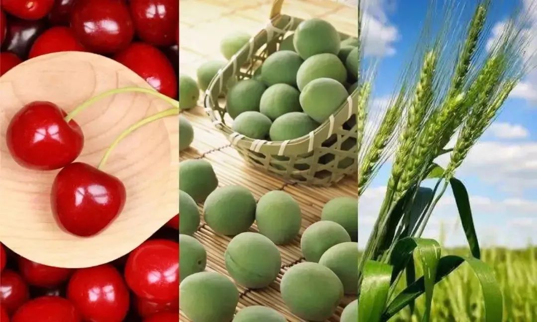 今日立夏,阳光雷雨将交替上线!_媒体_澎湃新闻-the paper