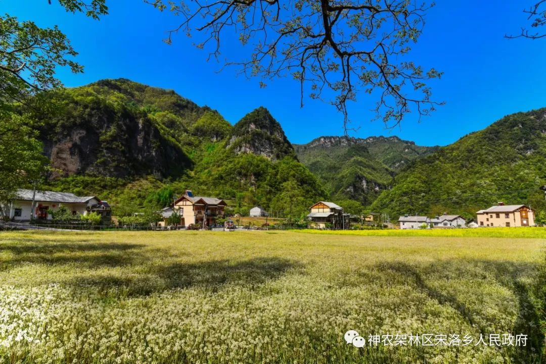 神农架宋洛风光图片