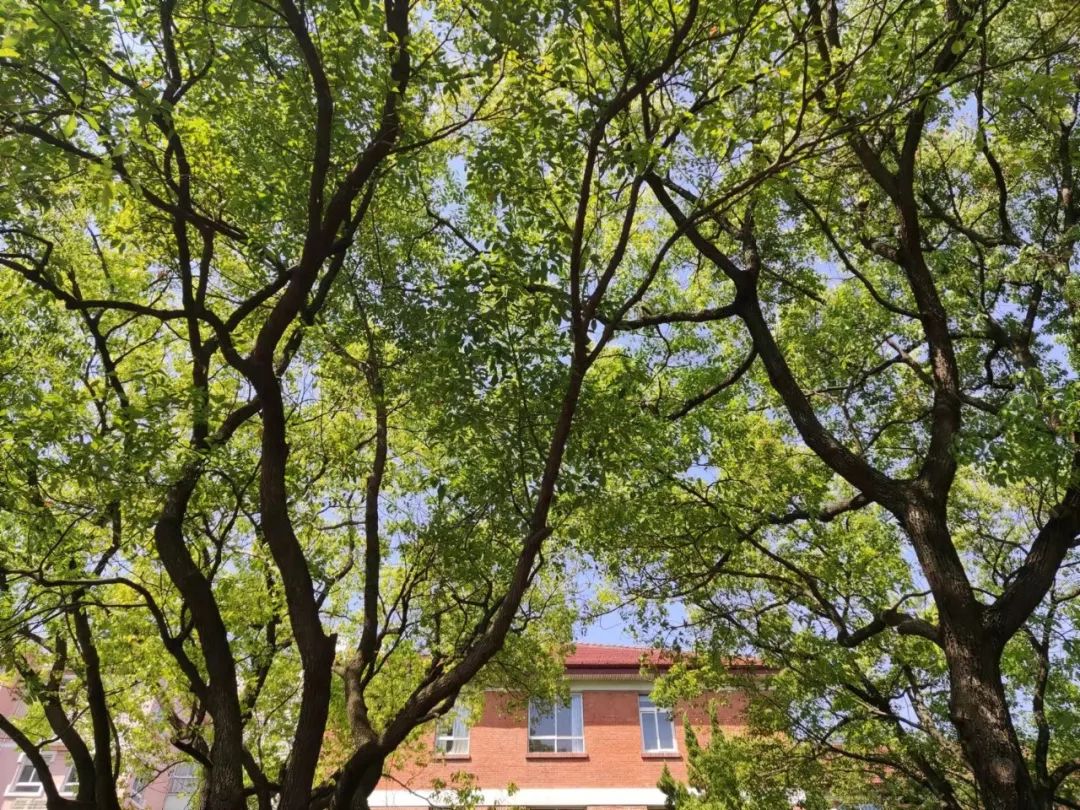 忽而今夏取景地图片