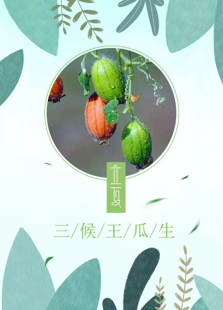 今日立夏绿肥红瘦初夏尤清和