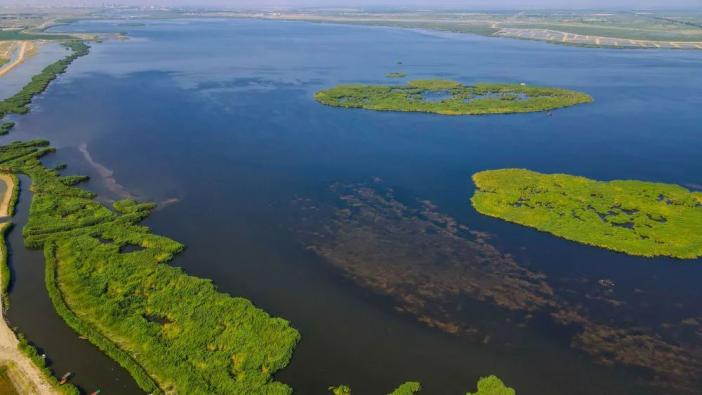 過去5年,呼倫湖水域面積逐年提高,溼地生態逐步恢復,生物多樣性不斷