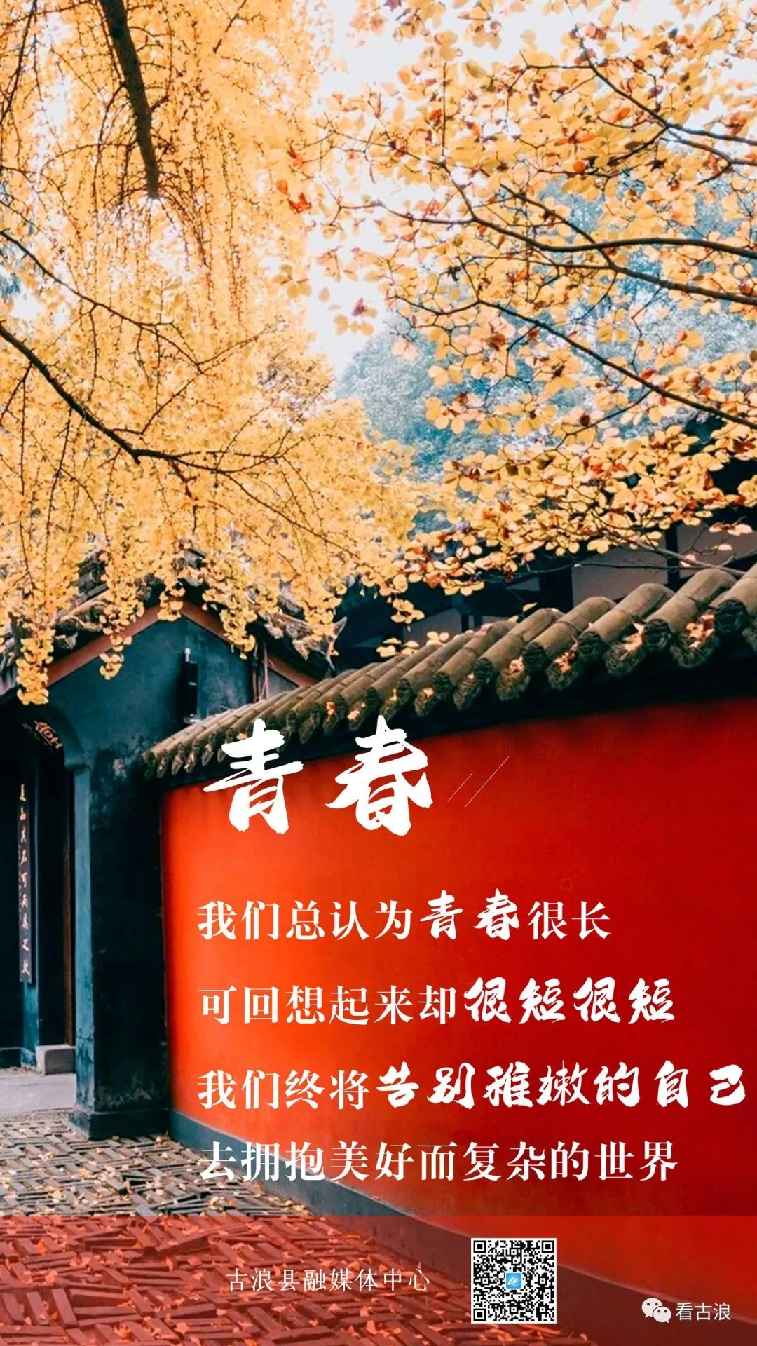 青春是什么