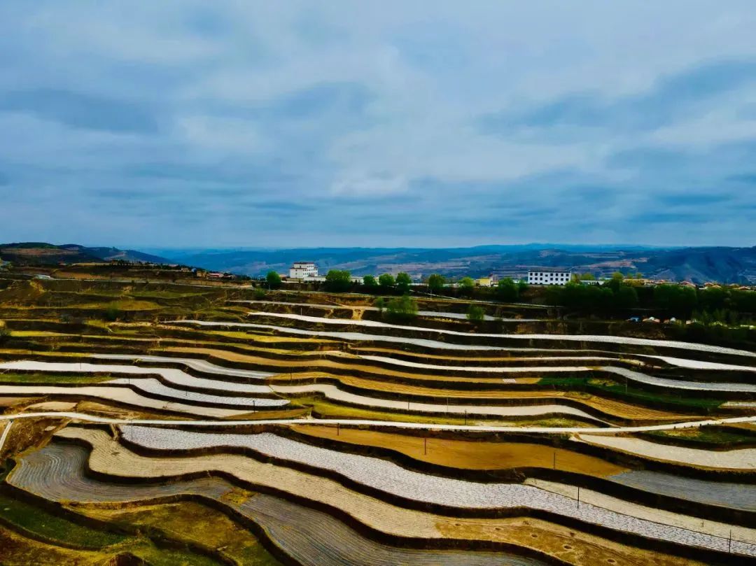 最美梯田季甘肃的这几处梯田你都去过吗