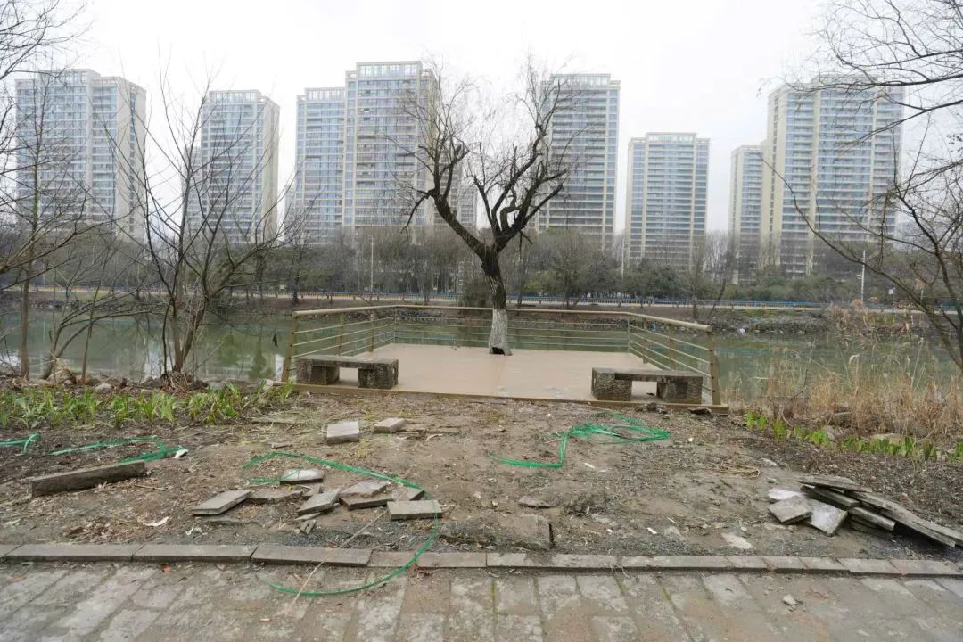 北塘河绿地景观提升竣工_澎湃号·政务_澎湃新闻-the paper