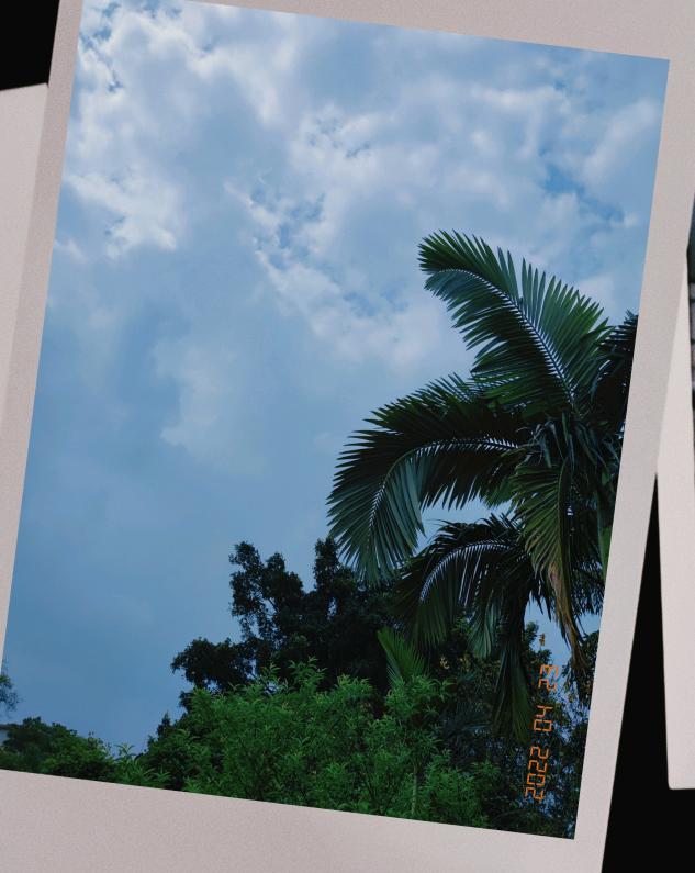 和小编一起去瞧一瞧吧会留存下哪些美丽的照片当广西科师遇上拍立得将