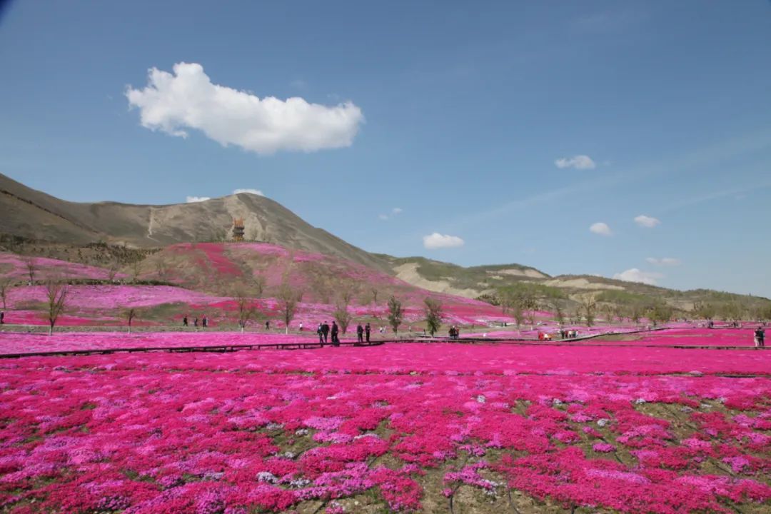 将军山辽疆生态公园迎来五一观光小高峰
