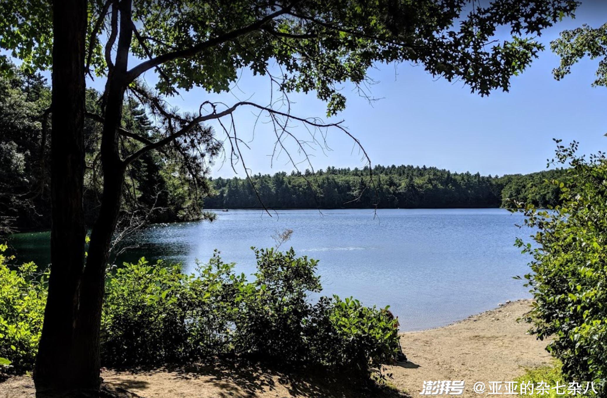 疫路同行 | 抵达我们心中的瓦尔登湖_众声_澎湃新闻-the paper