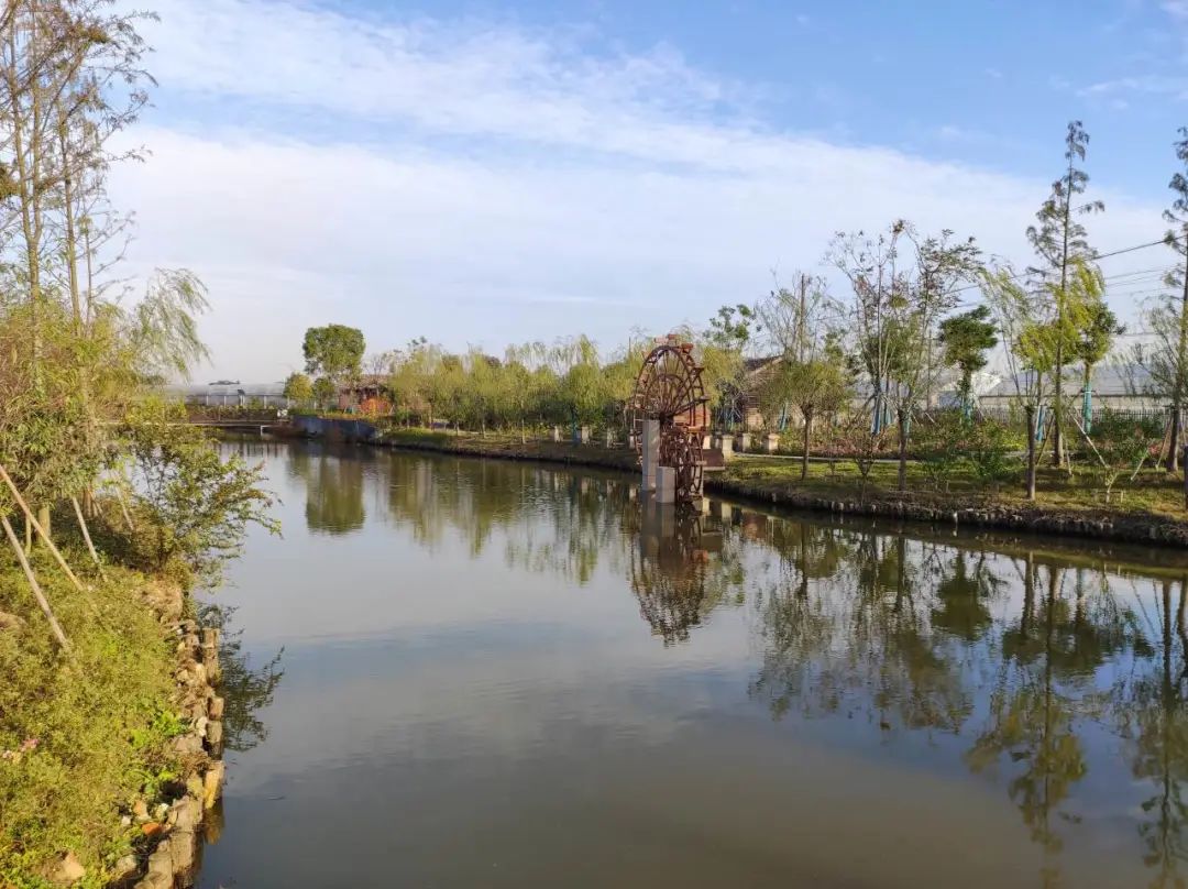 聚焦5912工作体系丨南部开发市最美村观音堂村有啥秘诀