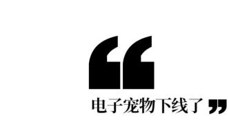 直播14天，给上千万人当电子宠物，庞宽的副业到底有多少？